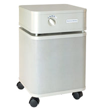 Load image into Gallery viewer, Austin Air Bedroom Machine Air Purifier