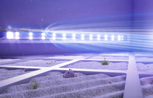 Load image into Gallery viewer, Air Shield UV Gate Sterilization LED UVC Light with Sensor