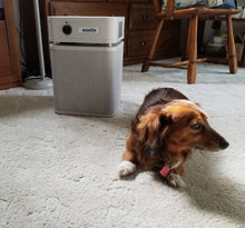 Load image into Gallery viewer, Austin Air Pet Machine Air Purifier