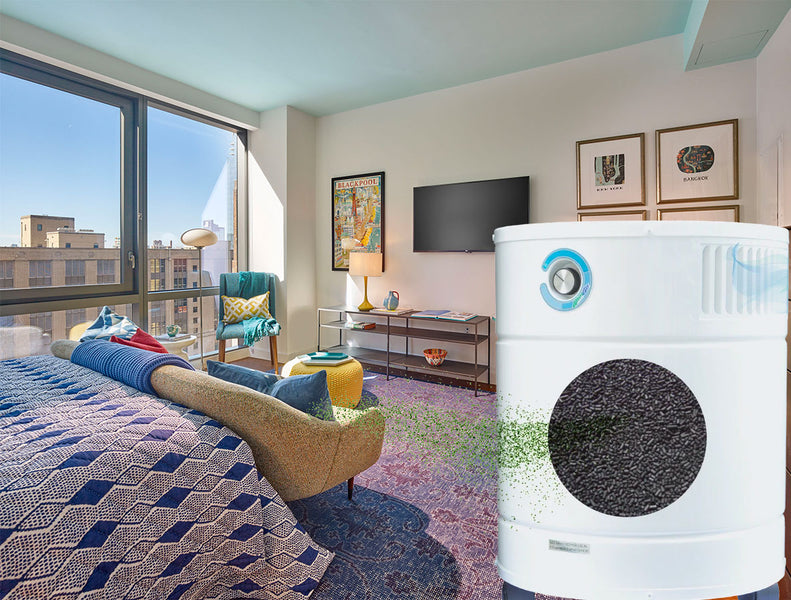 Air Purifier for Apartment Living