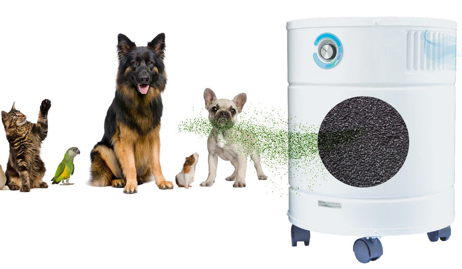 Air Purifiers for Pet Owners